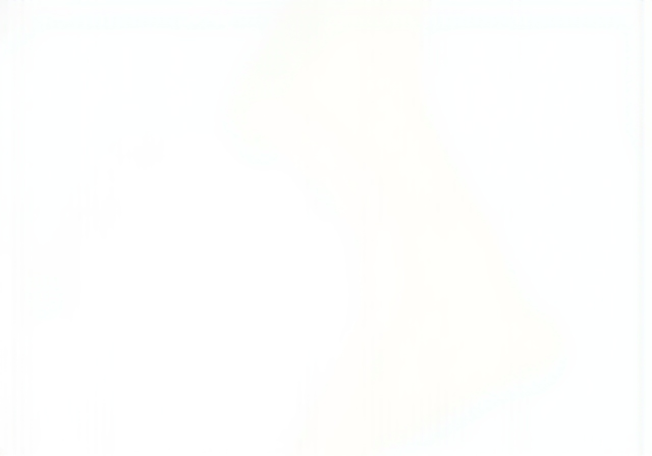 Этапы работ